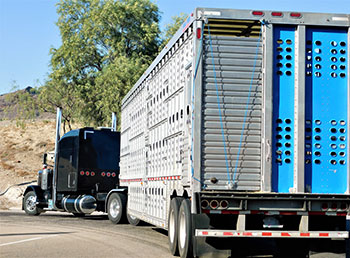 Trailer Services and Repairs